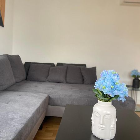 Luxury Apartment With Air Conditioning & Jaccuzzi Near Frankfurt Wiesbaden Hofheim am Taunus Exteriér fotografie