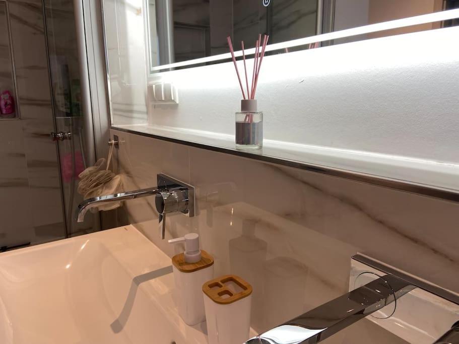 Luxury Apartment With Air Conditioning & Jaccuzzi Near Frankfurt Wiesbaden Hofheim am Taunus Exteriér fotografie