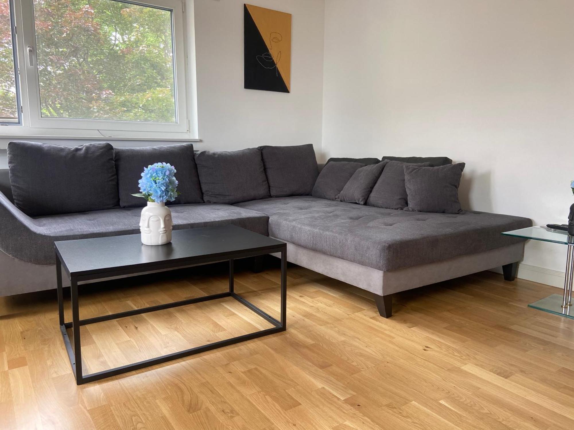 Luxury Apartment With Air Conditioning & Jaccuzzi Near Frankfurt Wiesbaden Hofheim am Taunus Exteriér fotografie
